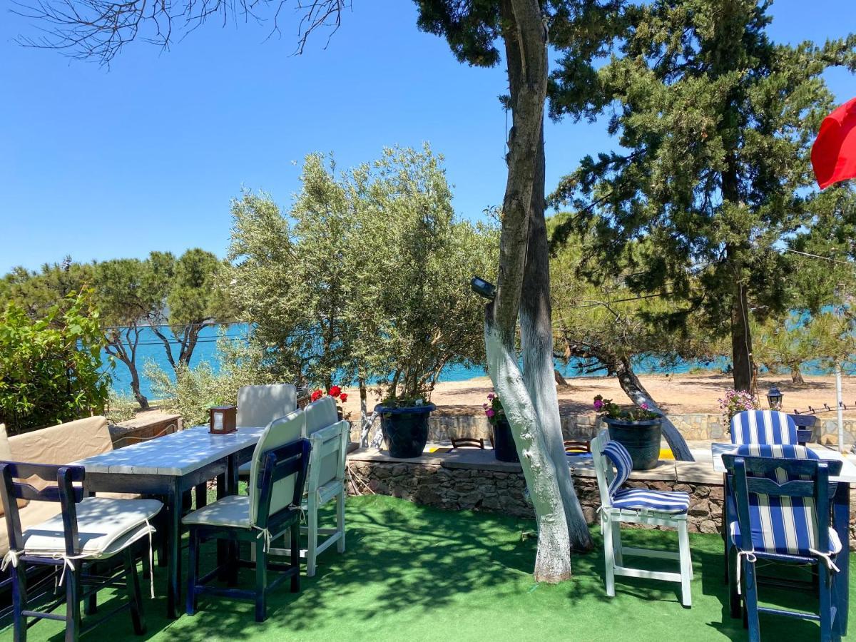 Lacivert Hotel Ayvalik Ngoại thất bức ảnh